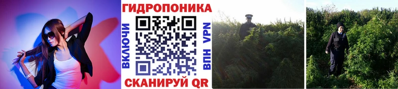 дарнет шоп  Калач-на-Дону  нарко площадка клад  Каннабис тримм  гидра ссылки 